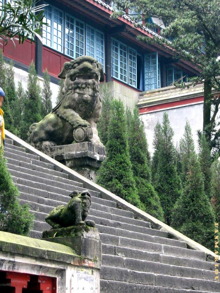Chengdu avril 2017 - 076.JPG